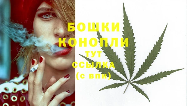 хмурый Горнозаводск