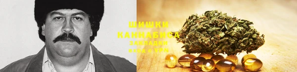 бутират Горняк