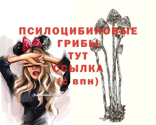хмурый Горнозаводск