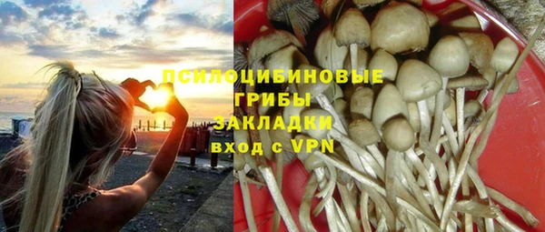 бутират Горняк