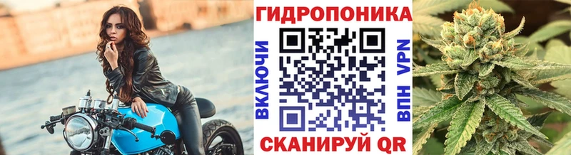 Каннабис семена  OMG маркетплейс  Орехово-Зуево  купить  